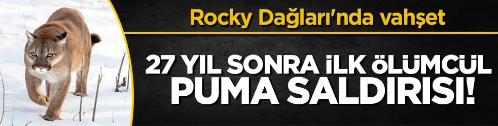 Rocky Dağları'nda korkunç son: Yürüyüşçü kadın puma kurbanı oldu!