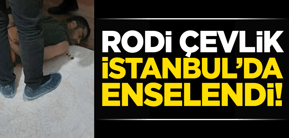 Rodi Çevlik İstanbul'da enselendi!