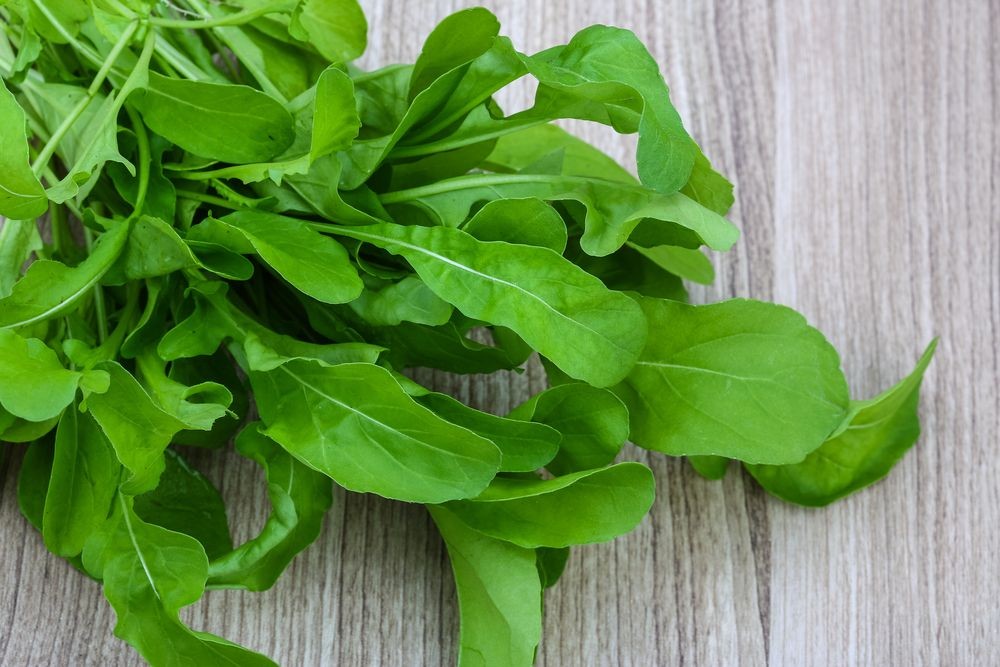 Rokanın yararları nelerdir?