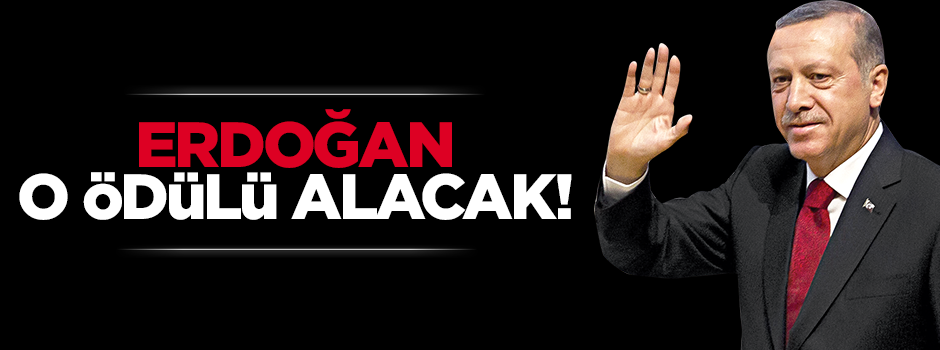 Romanlardan Erdoğan'a yüzyılın devlet adamı ödülü