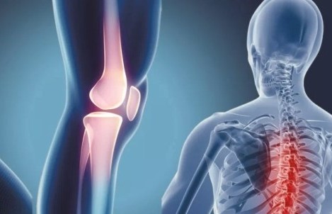 Romatizma hastalıklarına hangi bölüm bakıyor?