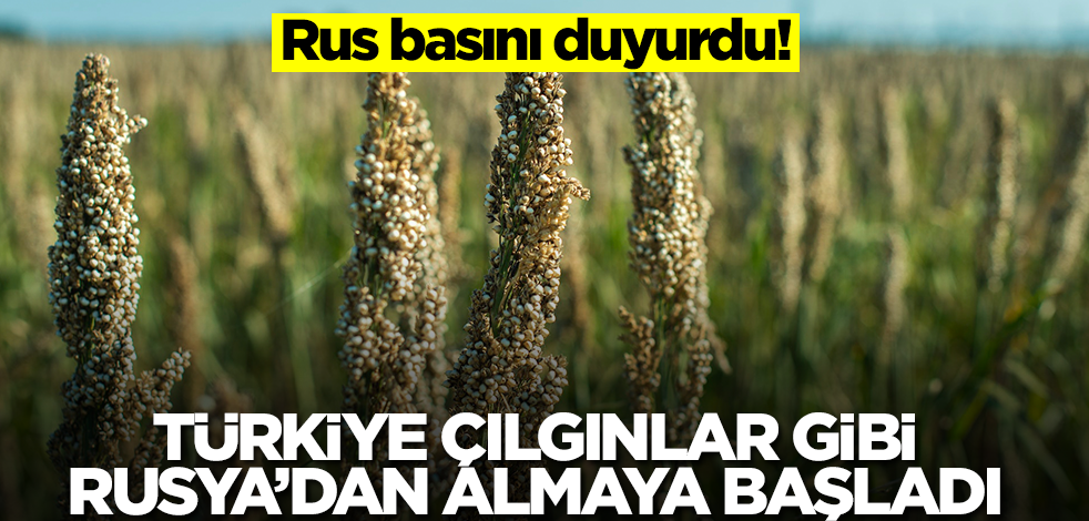 Rus basını duyurdu! Türkiye çılgınlar gibi Rusya'dan almaya başladı