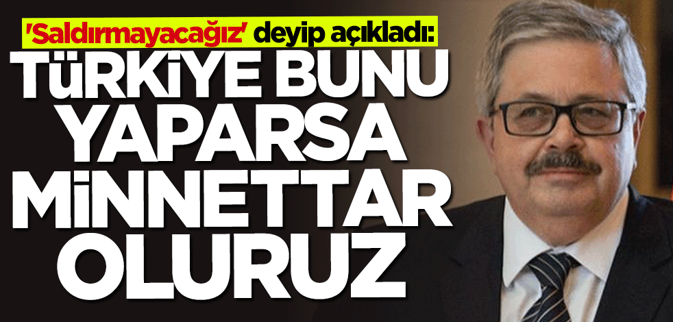 Rus diplomat "Saldırmayacağız" deyip açıkladı: Ancak Türkiye ikna edebilir