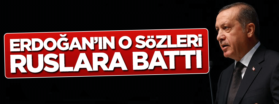 Rus temsilciden Erdoğan hazımsızlığı