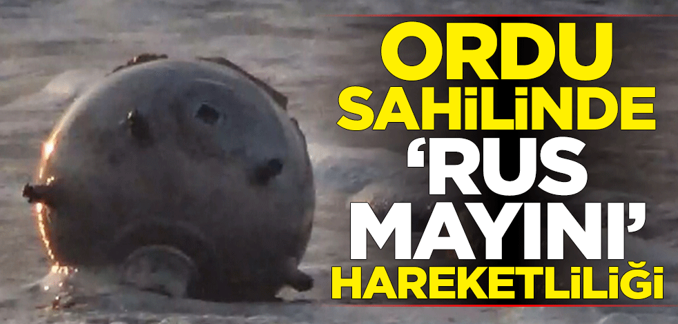 Rus yapımı mayın tetikleyicisi Ordu sahiline vurdu