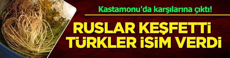 Ruslar keşfetti, Türkler isim verdi! Türk Bilim insanı çalışmaya başladı! Dünya gözünü o ilimize çevirdi