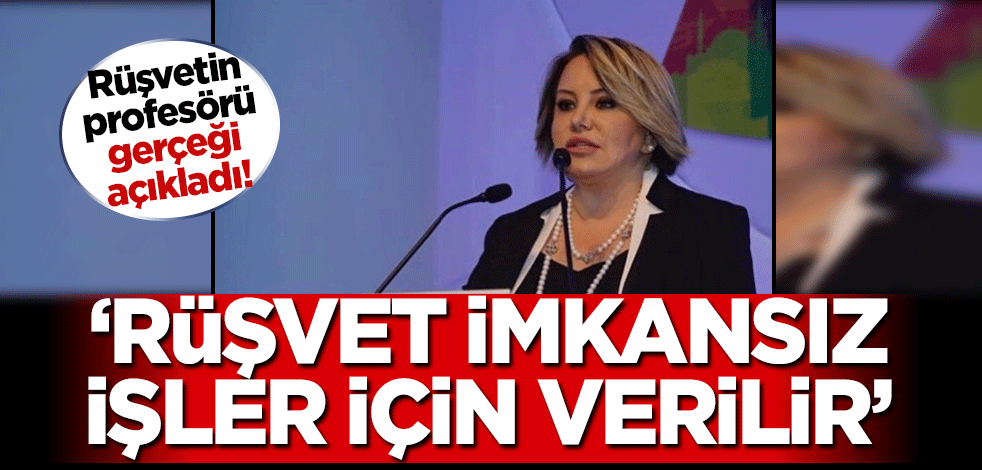 Rüşvetin profesörü Sineren gerçeği açıkladı: Rüşvet imkansız işler için verilir!