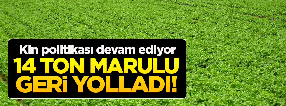 Rusya, 14 ton marulu Türkiye'ye iade etti