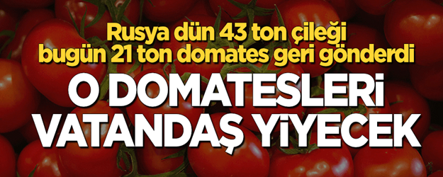 Rusya 21 ton ürünü geri gönderdi! O domatesleri vatandaş yiyecek