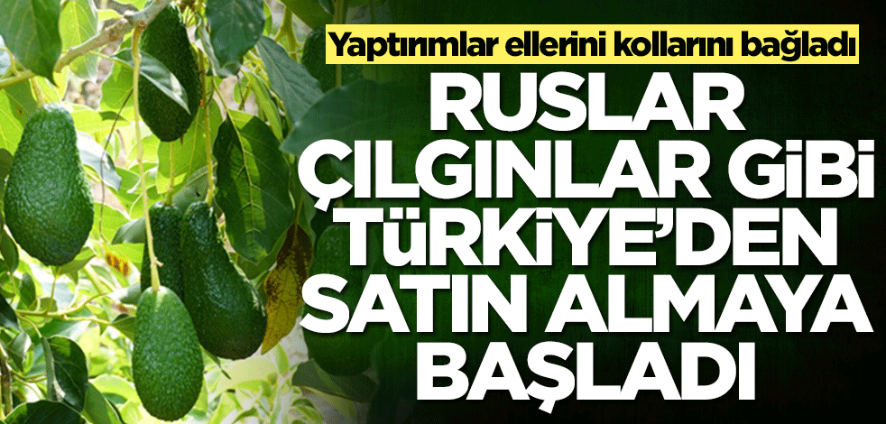 Rusya çılgınlar gibi Türkiye'den satın almaya başladı! Yaptırımlar ellerini kollarını bağladı