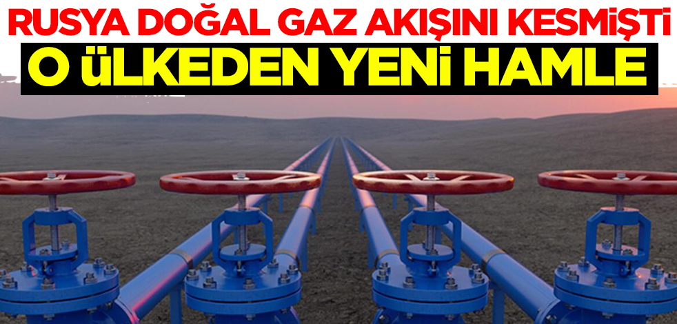 Rusya doğal gaz akışını kesmişti! Polonya'dan yeni hamle