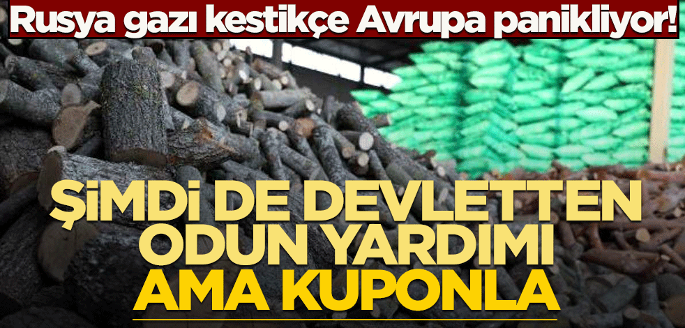 Rusya gazı kestikçe Avrupa panikliyor! Şimdi de devletten odun yardımı ama kuponla