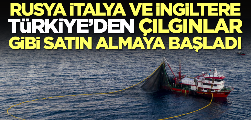 Rusya, İngiltere ve İtalya, Türkiye'den çılgınlar gibi satın almaya başladı! Rakam 1,5 milyar doları geçti