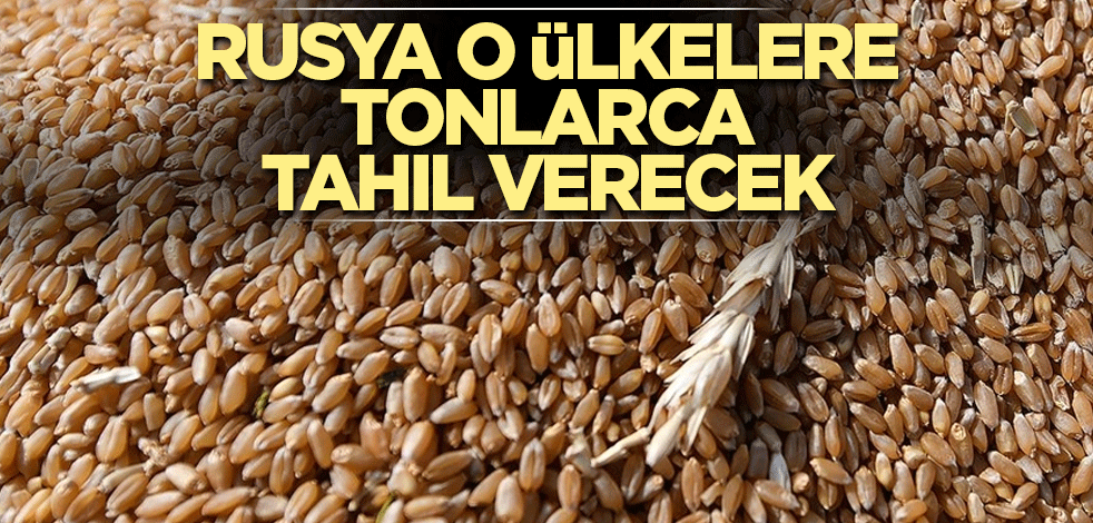 Rusya o ülkelere tonlarca tahıl verecek