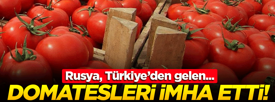 Rusya, Türkiye'den gelen domatesleri imha etti