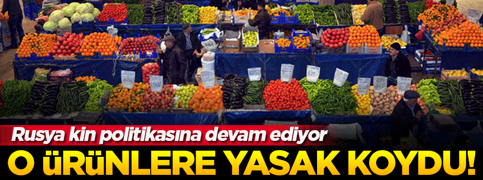 Rusya, Türkiye'den o ürünlerin alımını durdurdu