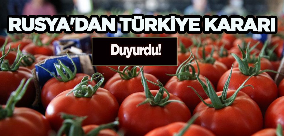 Rusya Türkiye'ye domates ithalatını arttırdı! Tarihi karar ihracatçılar tarafından böyle müthiş karşılandı!