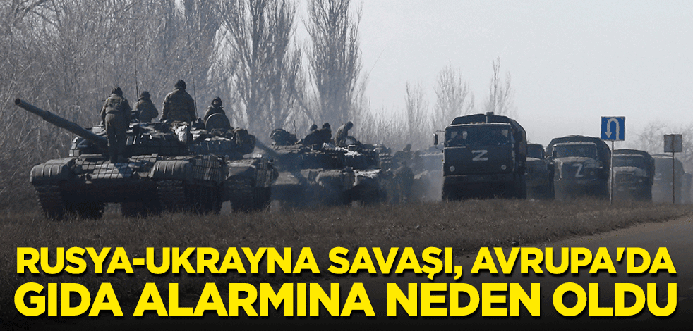 Rusya-Ukrayna savaşı, Avrupa'da gıda alarmına neden oldu