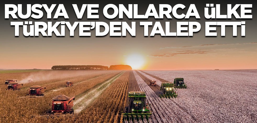 Rusya ve onlarca ülke Türkiye'den talep etti! Rota tam anlamıyla çevrildi