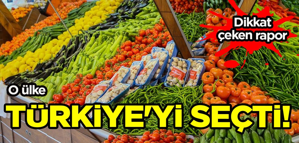 Rusya yine Türkiye'yi seçti! Batı Akdeniz'in ihracatında lider ülke Rusya: Dikkat çeken seçimlerin detayı