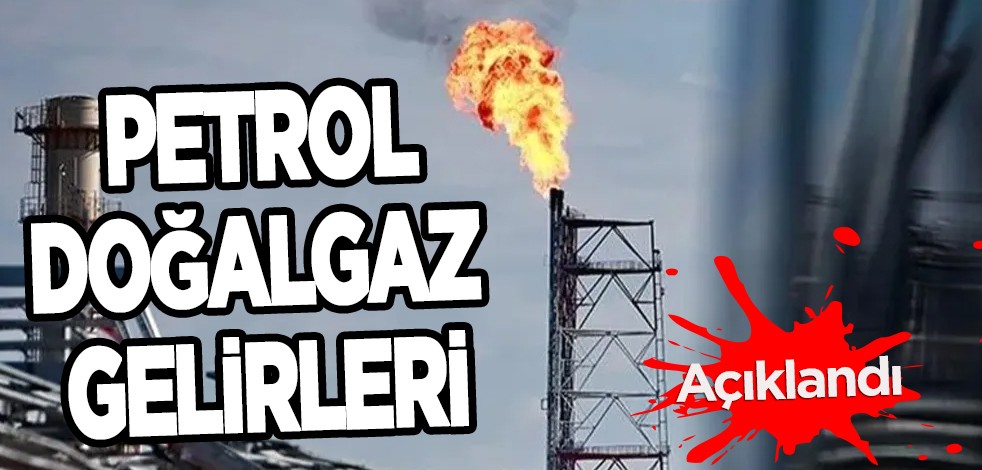 Rusya'da petrol ve doğal gaz gelirleri yüzde 52 azaldı! Keşifleri sonrası gelişme açıklaması