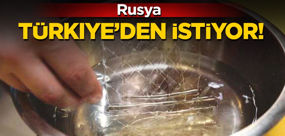 Rusya'dan şaşırtan paylaşım! Sığır jelatini satışı için Türkiye'ye duyuru: Ticarette can suyu olacak! Flaş gelişme!