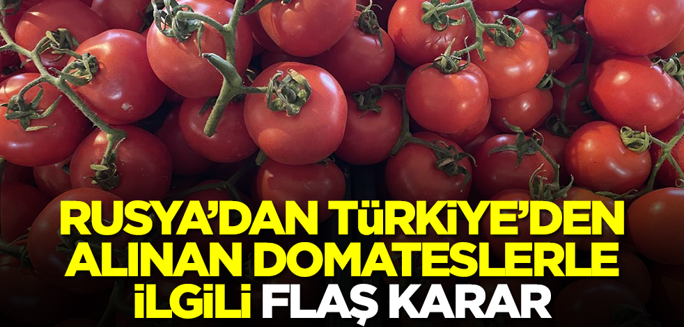 Rusya'dan Türkiye'den satın alınan domateslerle ilgili flaş karar! Apar topar devreye sokuldu