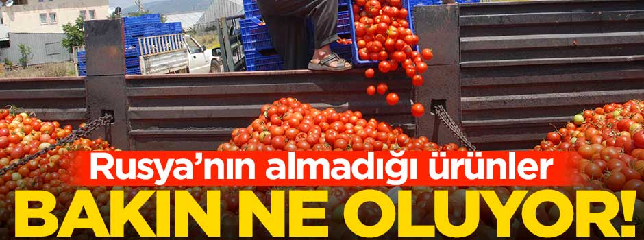 Rusya'nın almadığı ürünler ne oluyor?