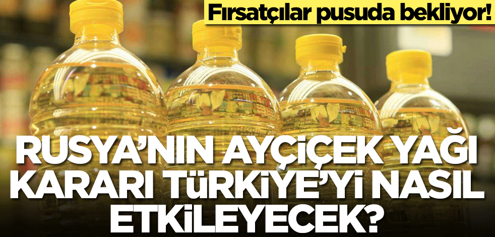Rusya'nın ayçiçek yağı kararı Türkiye'yi nasıl etkileyecek?