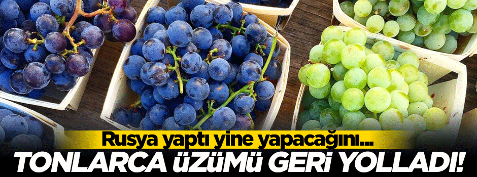 Rusya'ya giden tonlarca üzüm gittiği gibi geri döndü!