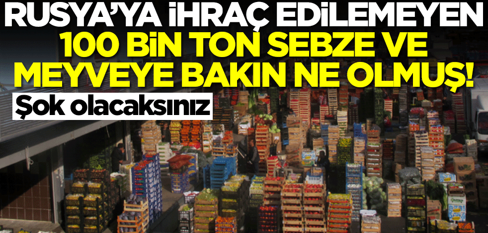 Rusya'ya ihraç edilemeyen 100 bin ton sebzeye bakın ne olmuş! Şok olacaksınız