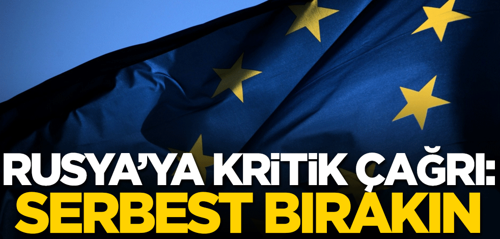 Rusya'ya kritik çağrı: Serbest bırakın