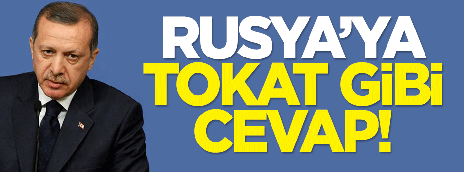 Rusya'ya tokat gibi 'kara harekatı' cevabı