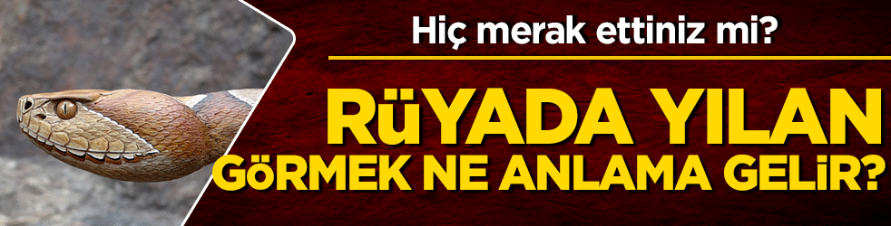 Rüyada Yılan Görmek Ne Anlama Gelir?