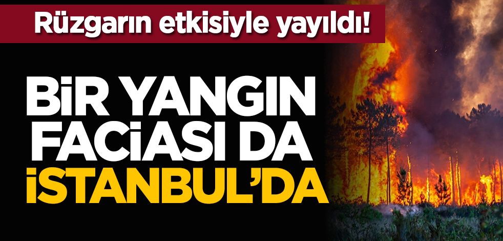 Rüzgarın etkisiyle yayıldı! Bir yangın faciası da İstanbul’da