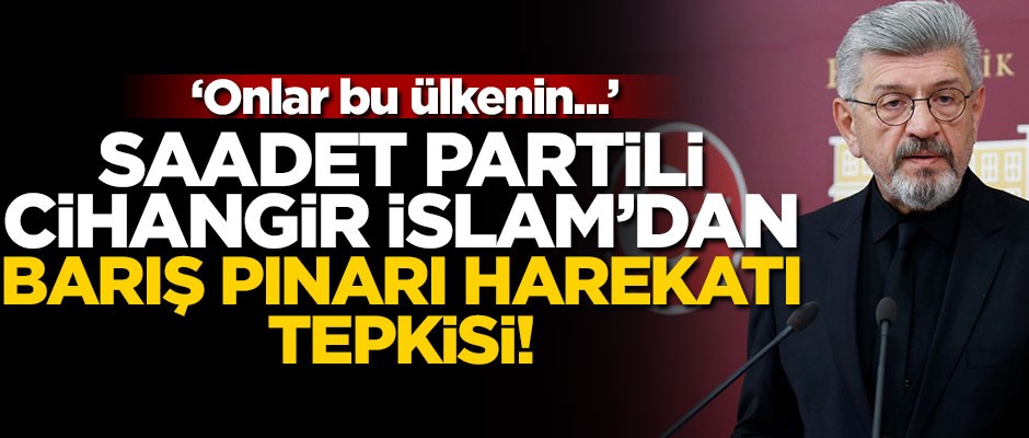 Saadet Partili vekilden Barış Pınarı Harekatı tepkisi! "Onlar bu ülkenin parçası değil mi"