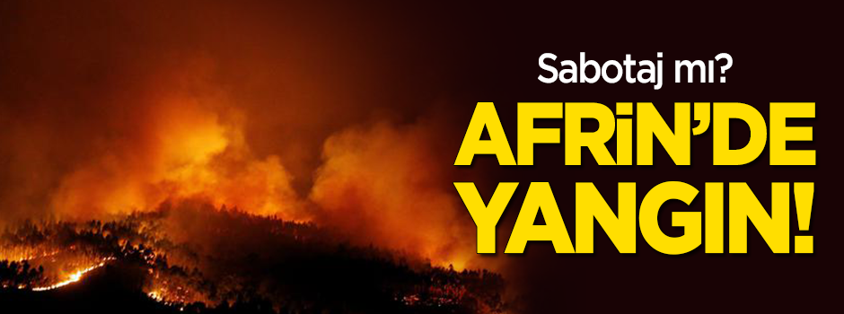 Sabotaj mı? Afrin'de orman yangını!