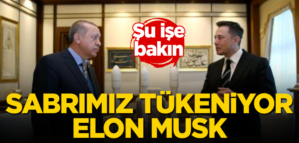 Sabrımız tükeniyor Elon Musk! Şu işe bakın
