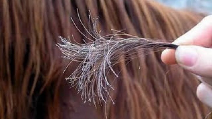 Saç kırıkları nasıl temizlenir?