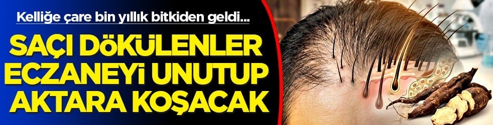 Saçları eski haline çeviriyor! Saç dökülmesine, kelliğe çare bin yıllık bitki: Eczaneyi unutup koşa koşa gidip alacaksınız