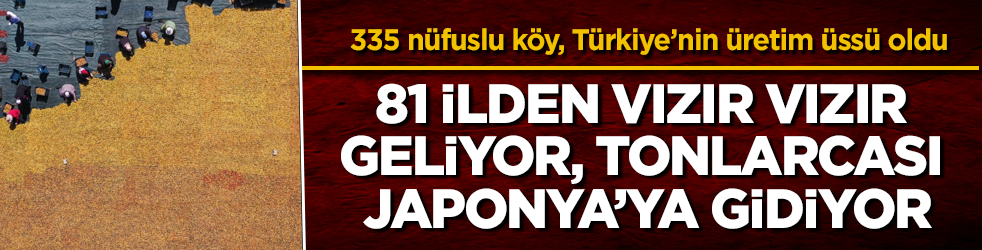 Sadece 335 nüfuslu köy, Türkiye’nin üretim üssü oldu: 81 ilden vızır vızır geliyor, tonlarcası Japonya’ya gidiyor