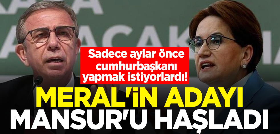 Sadece aylar önce cumhurbaşkanı yapmak istiyorlardı! Meral'in adayı Mansur'u haşladı