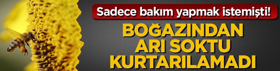 Sadece bakım yapmak istemişti! Boğazından arı soktu, kurtarılamadı