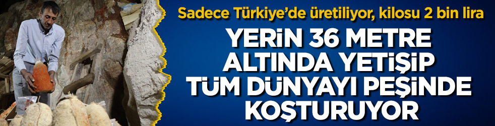 Sadece Türkiye’de üretiliyor, kilosu 2 bin liraya satılıyor: Yerin 36 metre altında yetişip tüm dünyayı peşinde koşturuyor