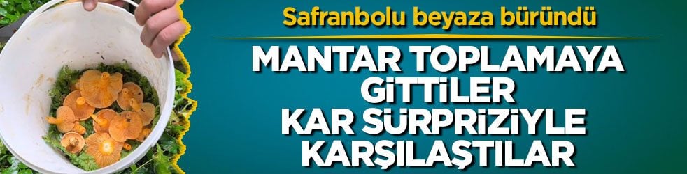 Safranbolu beyaza büründü! Mantar toplamaya gittiler, kar sürpriziyle karşılaştılar