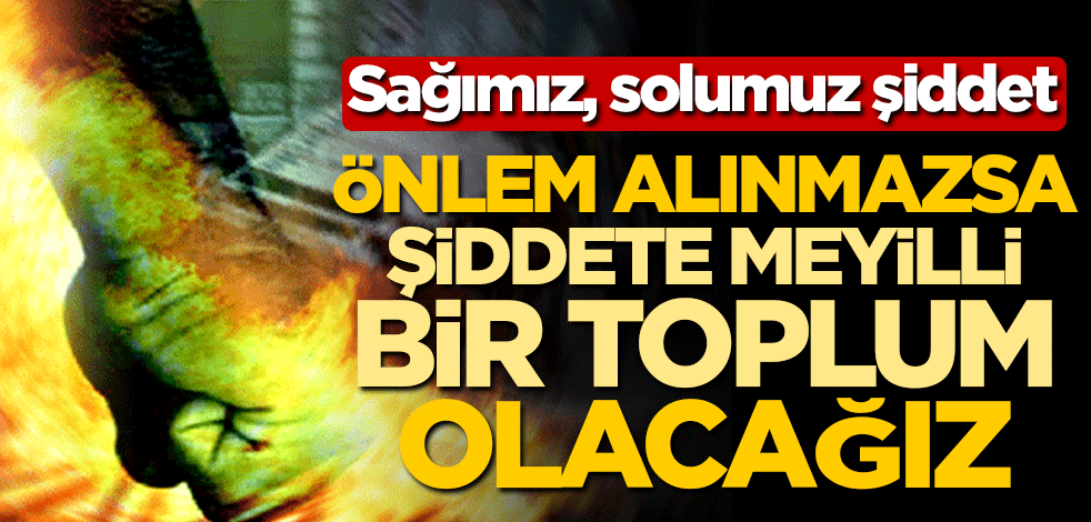 Sağımız, solumuz şiddet! Önlem alınmazsa şiddete meyilli bir toplum olacağız