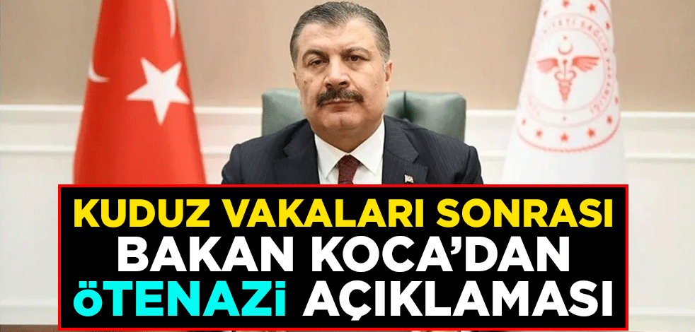 Sağlık Bakanı Fahrettin Koca kuduz vakalarına ilişkin konuştu: Tedbir ötenazi mi olmalı?