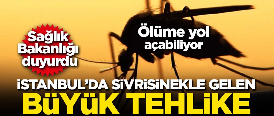Sağlık Bakanlığı duyurdu! İstanbul'da sivrisinekle gelen büyük tehlike