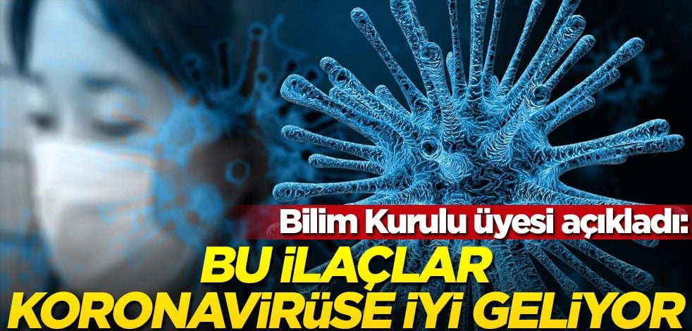 Sağlık Bakanlığı Koronavirüs Bilim Kurulu Üyesi Prof. Dr. Ateş Kara'dan 'koronavirüs ilacı' açıklaması