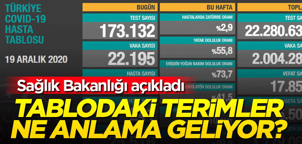 Sağlık Bakanlığı tek tek açıkladı: Tablodaki veriler ne anlama geliyor?